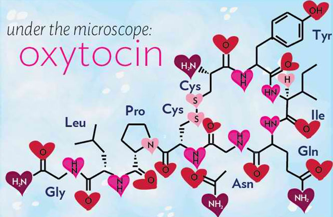 oxytocin